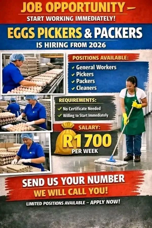 Egg Picker, Cleaners and General Workers Jobs 2026